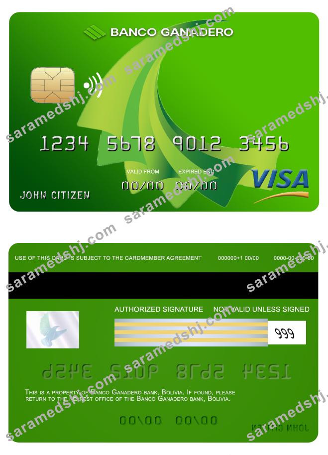 Bolovia Ganadero bank visa card